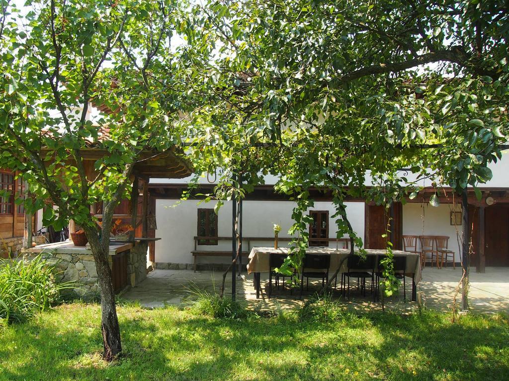 فندق Mindyaفي  Terra House المظهر الخارجي الصورة